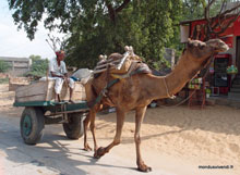 Pushkar - Inde